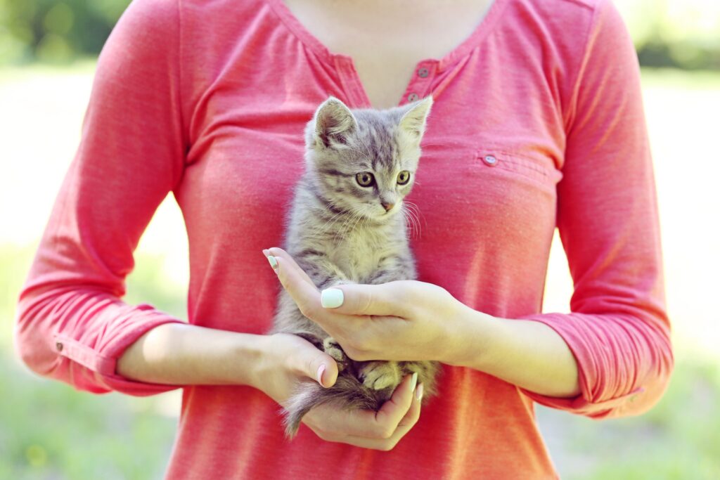 woman in a red shirt holding a grey kitten illustration "what is a cat sitter"