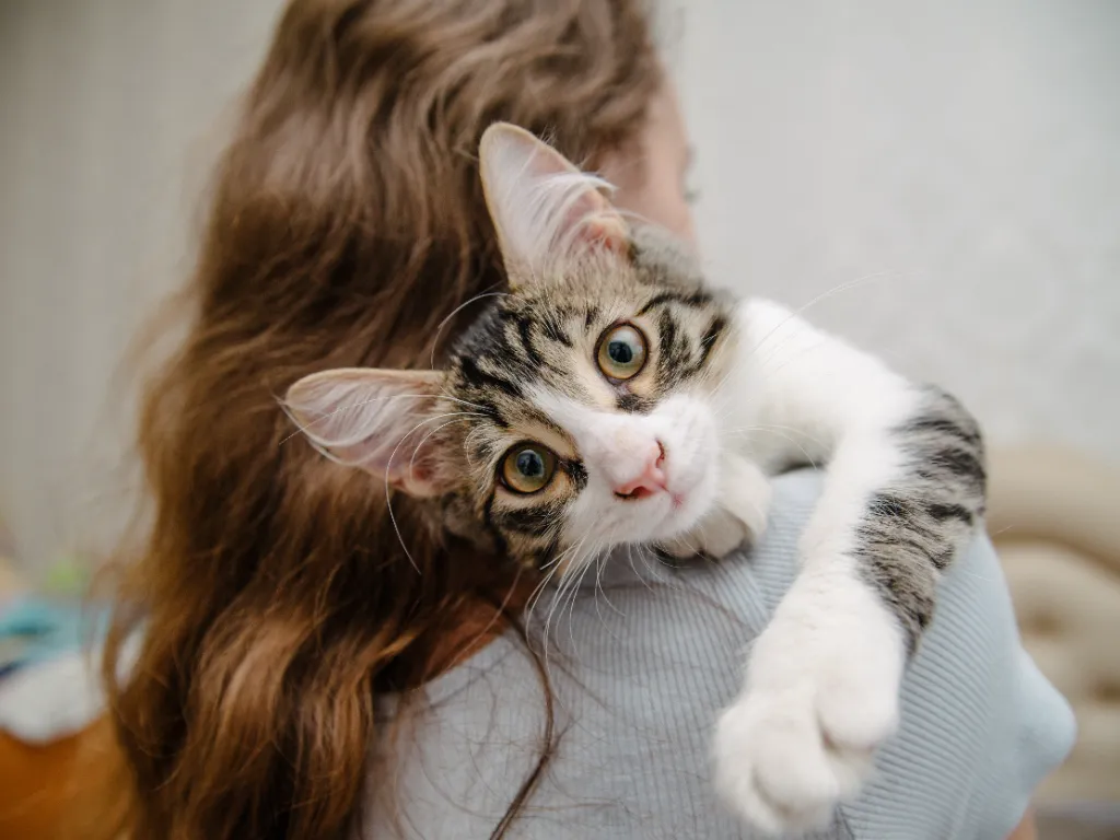 time saving tips for cat owners: grey and white tabby cat looking over its female owner's shoulder
