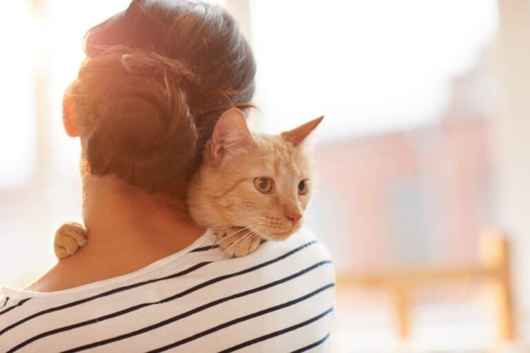 How Much to Pay a Cat Sitter for a Week - woman hugging a ginger cat, back view