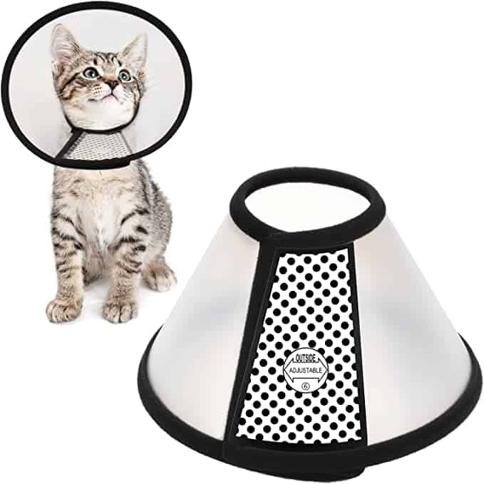 e-collar for cats
