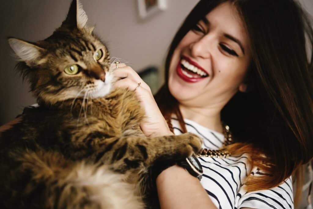 How Much to Pay a Cat Sitter for a Week - brunette with striped shirt laughing as she plays with a long haired tabby cat
