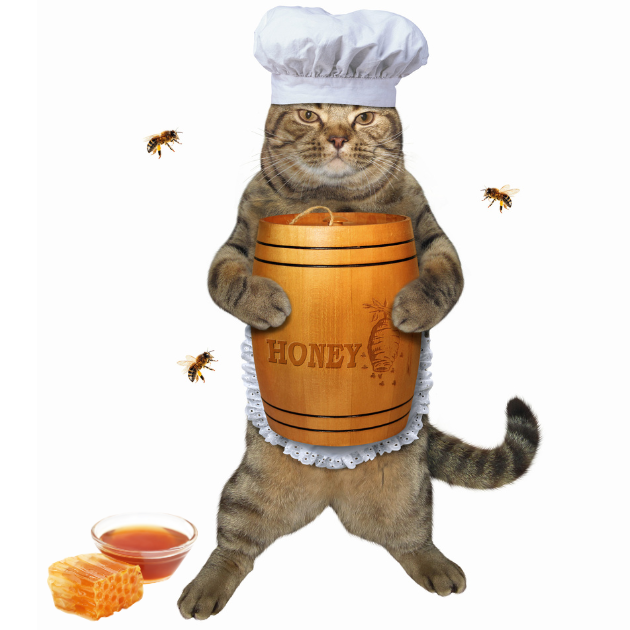 photoshopped image of cat standing cat wearing a chef's had and holding a barrel of honey